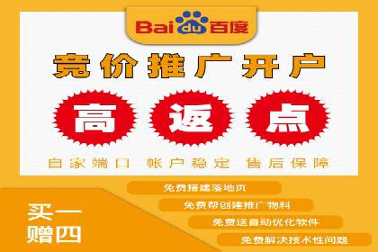 百度推广实战攻略：案例与技巧